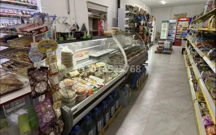 Готовый продуктовый бизнес | Первая линия | Высокий трафик · 105 м², бағасы: 18 млн ₸ в Астане, Сарайшык р-н — фото 16