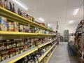 Готовый продуктовый бизнес | Первая линия | Высокий трафик · 105 м², бағасы: 18 млн ₸ в Астане, Сарайшык р-н — фото 8
