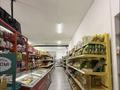 Готовый продуктовый бизнес | Первая линия | Высокий трафик · 105 м², бағасы: 18 млн ₸ в Астане, Сарайшык р-н — фото 9