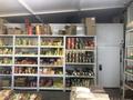 Оптово-розничный магазин продуктов · 190 м², бағасы: 65 млн ₸ в Астане, р-н Байконур — фото 2