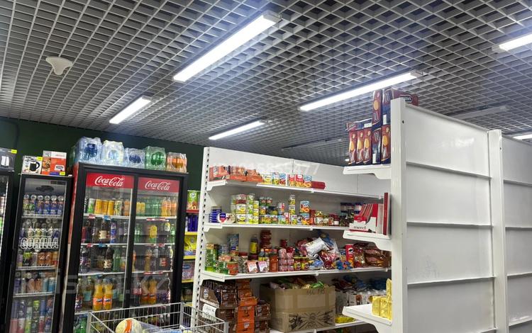 Дүкендер мен бутиктер · 125 м², бағасы: 115 млн ₸ в Астане, Сарайшык р-н — фото 11