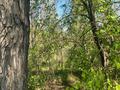 Жер телімі · 4.25 га, Есік, бағасы: ~ 37.6 млн ₸ в Есик — фото 6