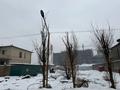 Участок · 15 соток, Куаныш Тулеметова 68/7 — Городок Милениум за 160 млн ₸ в Шымкенте, Абайский р-н — фото 3