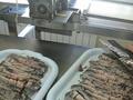 Заводской комплекс Мясо.Рыба.Птица. · 2000 м² за 395 млн ₸ в Семее — фото 13