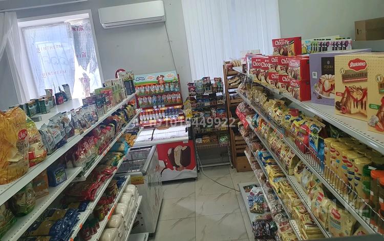 Готовый бизнес продуктовый магазин · 85 м², бағасы: 12 млн ₸ в Астане, Алматы р-н — фото 2