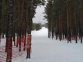 2-комнатная квартира · 62 м² · 5/5 этаж, Приозёрная — Зеленая за 20 000 ₸ в Щучинске — фото 26