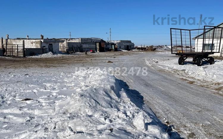 Сельское хозяйство · 2500 м² за 65 млн ₸ в Павлодаре — фото 2