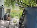 Отдельный дом · 2 комнаты · 40 м² · 12 сот., Рассвет — В дачном массиве “Рассвет”, Илийский район (с 2025 года — территория города Алатау). за 12 млн ₸ в Байсерке — фото 4