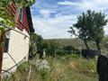 Отдельный дом · 2 комнаты · 40 м² · 12 сот., Рассвет — В дачном массиве “Рассвет”, Илийский район (с 2025 года — территория города Алатау). за 12 млн ₸ в Байсерке — фото 9