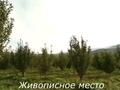 Жер телімі · 3.8 га, Талғар, бағасы: 1 млрд ₸ в Талгаре — фото 4