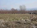Жер телімі · 3.8 га, Талғар, бағасы: 1 млрд ₸ в Талгаре — фото 16
