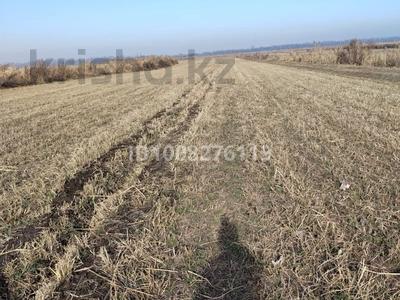 Участок · 6.8 га, Кайназар (Енбекшиказахский район) за 70 млн ₸