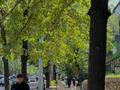 Свободное назначение, офисы, магазины и бутики, общепит, салоны красоты, кабинеты и рабочие места, студии · 94 м² за ~ 1.5 млн ₸ в Алматы, Алмалинский р-н — фото 8