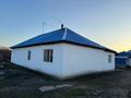 Жеке үй · 6 бөлме · 190 м² · 10 жүзд., Восточный правый 4 дачи 2380, бағасы: 19.5 млн ₸ в Семее — фото 4