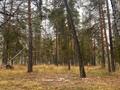 Участок · 4.5 га, Новая за 35 млн ₸ в Красный Кордон — фото 11