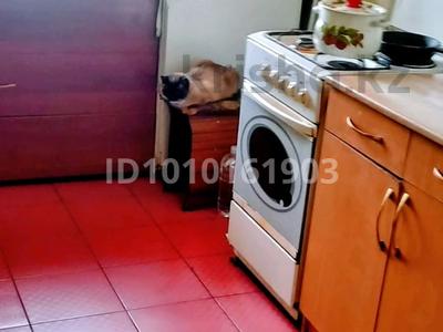 Отдельный дом · 4 комнаты · 85 м² · 12 сот., Павленко — Пришахтинска за 17 млн 〒 в Караганде