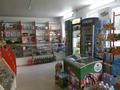 Магазины и бутики • 52 м² за 12 млн 〒 в Таразе — фото 3
