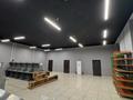 Еркін · 300 м², бағасы: 700 000 ₸ в Туркестане — фото 5