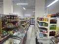 Магазины и бутики · 140 м² за 140 млн ₸ в Астане, Нура р-н — фото 5