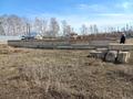 Участок · 15 соток, Луговая 23в за 5.5 млн ₸ в Бишкуле (Бесколь) — фото 6