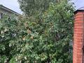 Жеке үй · 5 бөлме · 150 м² · 18 жүзд., Шаттық 20 — Возле Қазақ мектебі, бағасы: 20.5 млн ₸ в Актобе, жилой массив Курайлы — фото 19