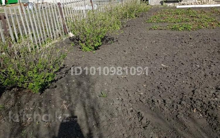 Саяжай · 1 бөлме · 20 м² · 5 сот., Линия 43 — С/О "Ромашка", направление на Кривозёрку, бағасы: 1.7 млн ₸ в Петропавловске — фото 17