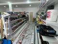 Магазины и бутики • 250 м² за 95 млн 〒 в Атырау — фото 5