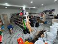 Магазины и бутики • 250 м² за 95 млн 〒 в Атырау — фото 6