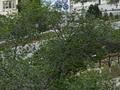 2-бөлмелі пәтер · 44 м² · 3/5 қабат, 13-й мкр., бағасы: 180 000 ₸ в Актау, 18-й мкр  — фото 9