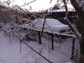 Жеке үй · 3 бөлме · 55.8 м² · 6 жүзд., Красина 8, бағасы: 5.5 млн ₸ в Семее — фото 5