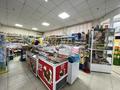 Магазины и бутики • 130 м² за 60 млн 〒 в Темиртау — фото 4