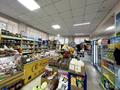 Магазины и бутики • 130 м² за 60 млн 〒 в Темиртау — фото 5
