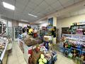 Магазины и бутики • 130 м² за 60 млн 〒 в Темиртау — фото 6