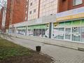 Еркін, дүкендер мен бутиктер · 1000 м², бағасы: 235 млн ₸ в Костанае