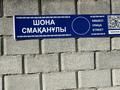 Участок · 10 соток, жилой массив Кайнар Булак, Шохан смаханұлы за 8 млн ₸ в Шымкенте, Абайский р-н — фото 8