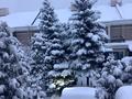 5-комнатная квартира · 270 м², мкр Горный Гигант, Жамакаева 256а за 3.2 млн ₸ в Алматы, Медеуский р-н — фото 9