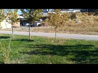 Участок · 16 соток, мкр Мирас — Аргынбекова ул Астана за 98 млн 〒 в Шымкенте, Каратауский р-н