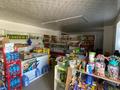 Магазин сатылады · 425 м², бағасы: 30 млн ₸ в Кызылординской обл. — фото 7
