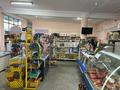 Свободное назначение, офисы, магазины и бутики, склады · 200 м² за 34 млн ₸ в Мерке — фото 3