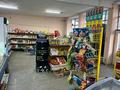 Свободное назначение, офисы, магазины и бутики, склады · 200 м² за 34 млн ₸ в Мерке — фото 6