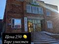 Свободное назначение · 902.8 м² за 250 млн ₸ в Павлодаре