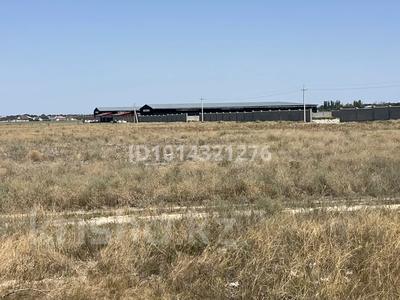 Участок · 3.85 га, Жайнак (Комсомол) за 410 млн ₸