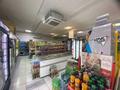 Магазины и бутики, общепит • 220 м² за 96.5 млн 〒 в Астане, Сарыарка р-н — фото 10