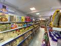 Магазины и бутики, общепит • 220 м² за 96.5 млн 〒 в Астане, Сарыарка р-н — фото 12