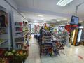 Магазины и бутики, общепит • 220 м² за 96.5 млн 〒 в Астане, Сарыарка р-н — фото 4