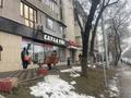 Магазины и бутики, склады, студии · 10 м² за 100 000 ₸ в Алматы, Алмалинский р-н — фото 5