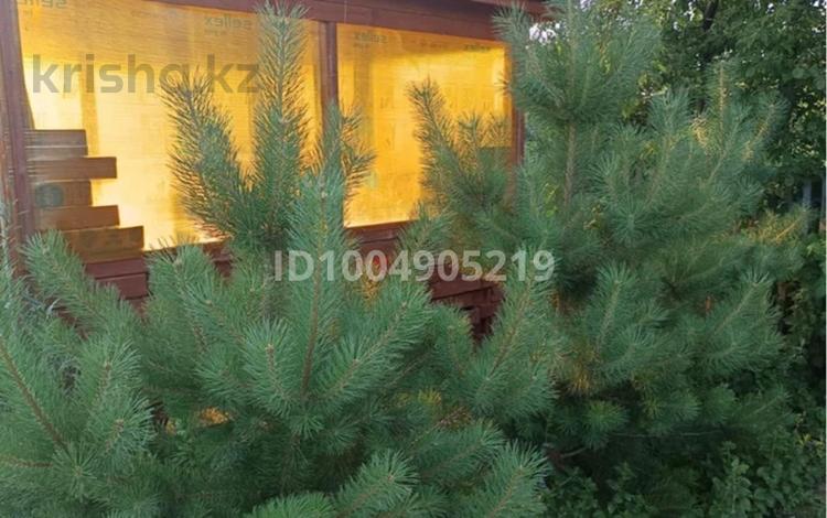 Саяжай · 2 бөлме · 50 м² · 8.1 сот., Малиновая — Дачное общество горизонт, бағасы: 4.5 млн ₸ в Петропавловске — фото 2