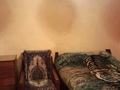 Дача · 2 комнаты · 40 м² · 6 сот., Яблоневая 86 — Сразу после переезда налево. за 2.1 млн ₸ в  — фото 24