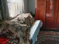 Отдельный дом · 2 комнаты · 45 м² · 8 сот., Зейнолла Саник 127 за 3 млн ₸ в Урджаре — фото 6