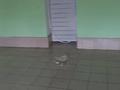 Гараж · 40 м² · Сазды-3, Санкибай батыра 253 — Зелёная Долина, бағасы: 11 млн ₸ в Актобе, Сазда-3 — фото 6